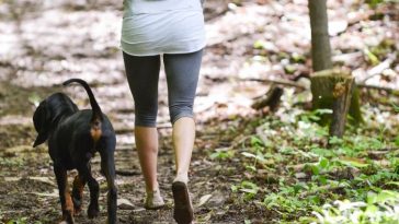 improving your health with your dog