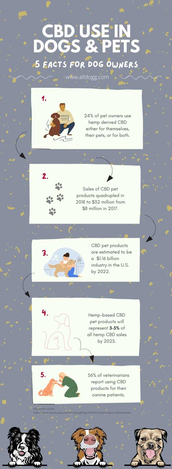 dog cbd facts infographic