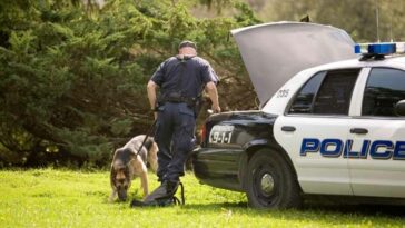 Cadaver dogs help solve crimes